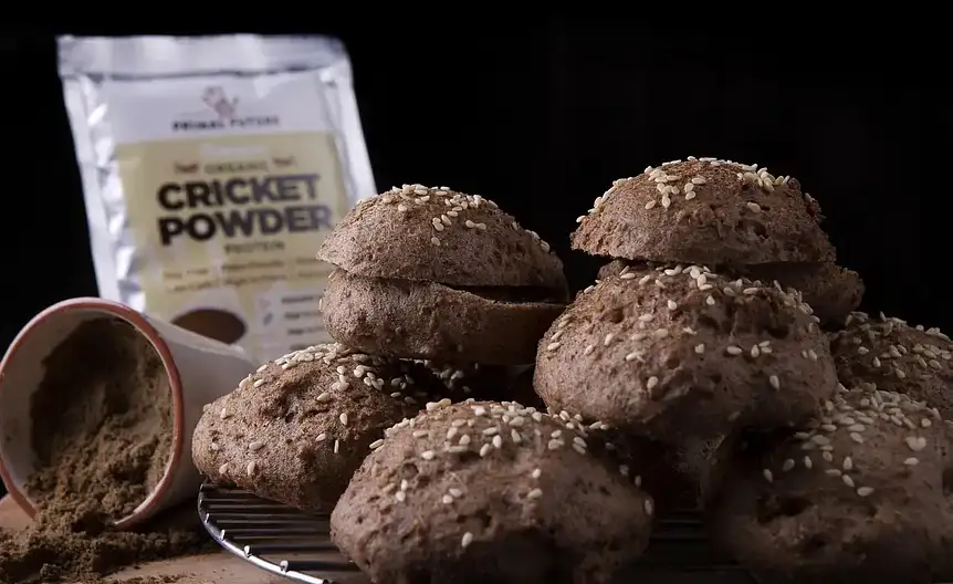 Przyszlosc gotowania