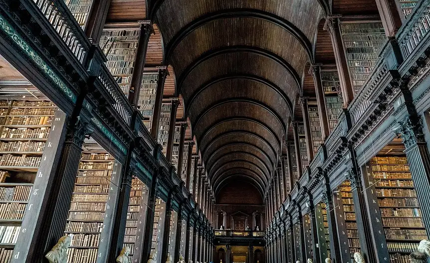 Stabilne polki do salonu z ksiazkami i dekoracjami